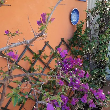 Terrazza Italia Attico Lägenhet Rom