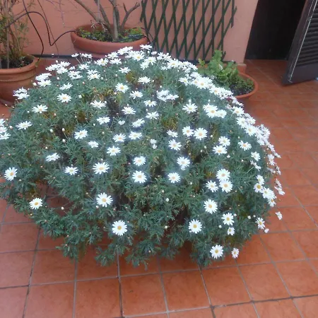 Terrazza Italia Attico Lägenhet Rom